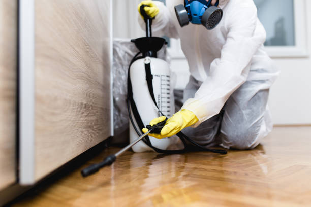 Best Local Pest Control Services  in Berkeley, MO