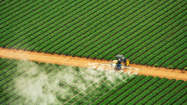 Best Pest Prevention Services  in Berkeley, MO