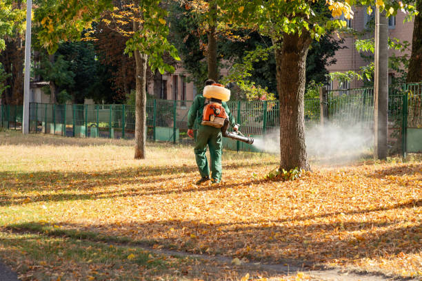 Best Pest Removal Services  in Berkeley, MO