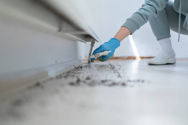 Reliable Berkeley, MO Pest Control Solutions